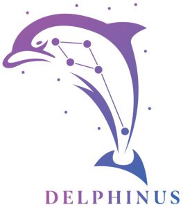 Delphinus Consulting Logo Delphinus Consulting Logo